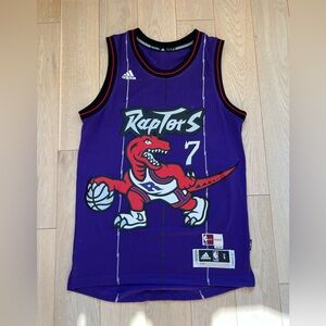 Toronto Raptors Kyle Lowry Retro Hardwood Classic Adidas Jersey (Purple, Small)